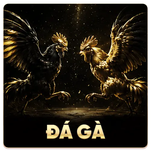 icon đá gà 6623